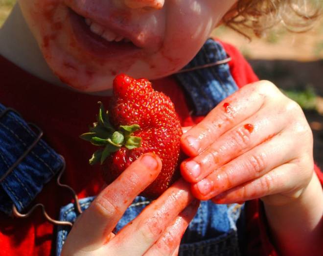 10421282_720117808082674_8155535634981982140_n-2